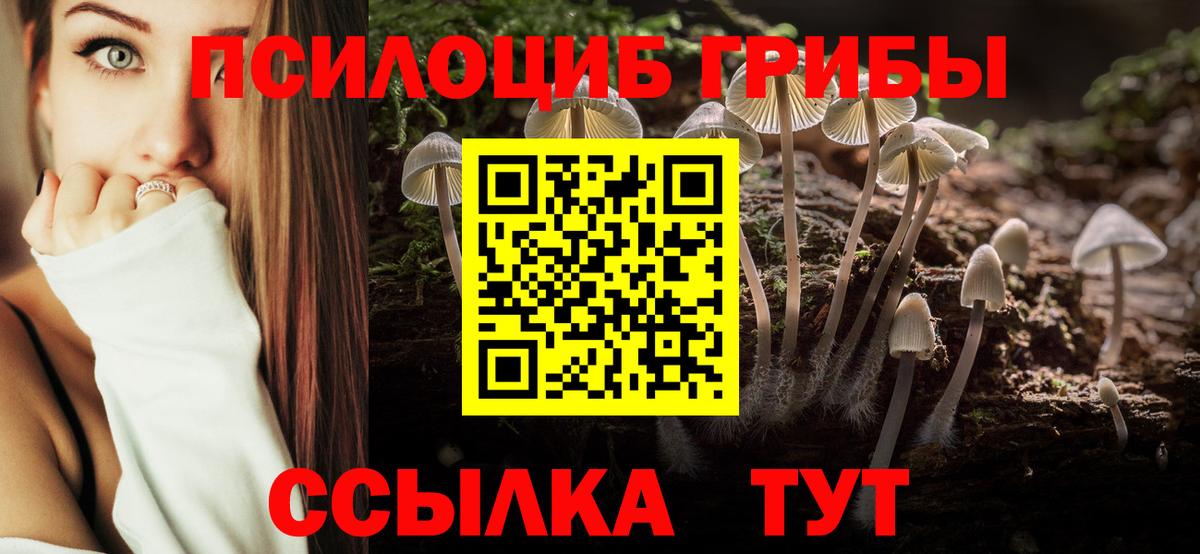 Галлюциногенные грибы GOLDEN TEACHER Донской